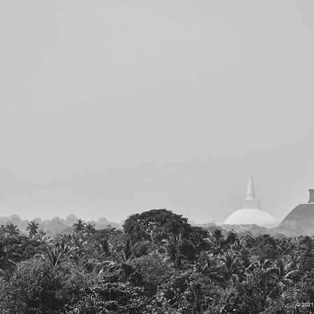 Antharaa Villa Anuradhapura Ngoại thất bức ảnh